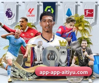 爱体育APP网址 APP